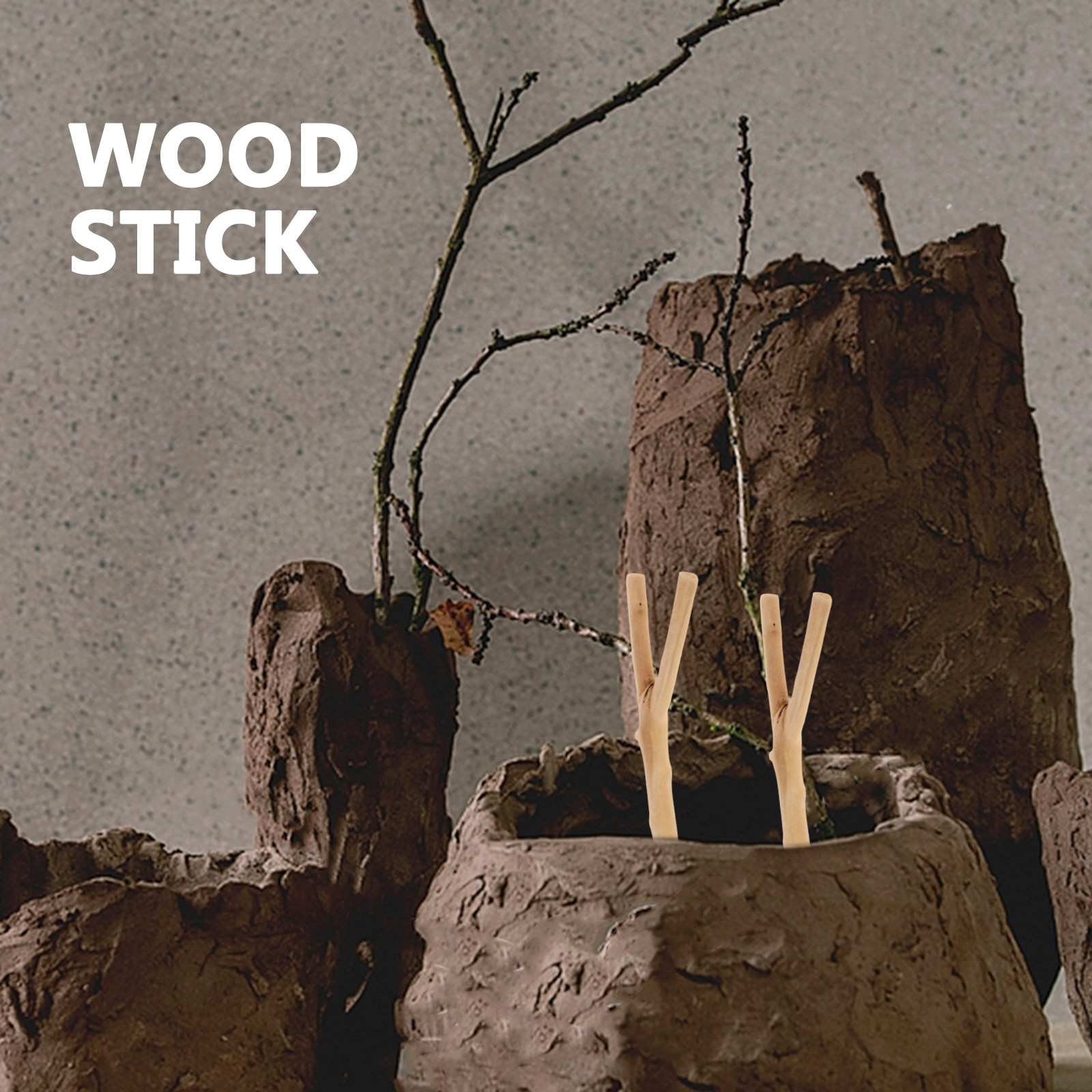 Handpolished Driftwood Branche - đánh giá và giá Centerpiece Stick